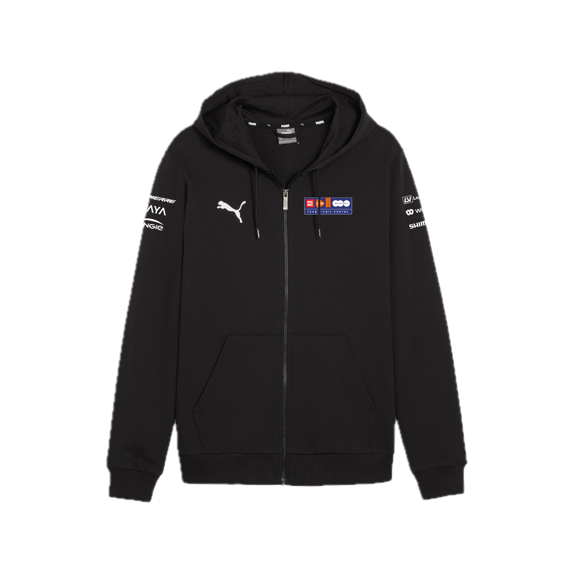 PUMA teamGOAL Casuals Hooded Jacket – Black (2025) – Fanstore Team